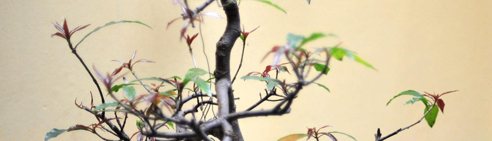 Seguridad Informatica